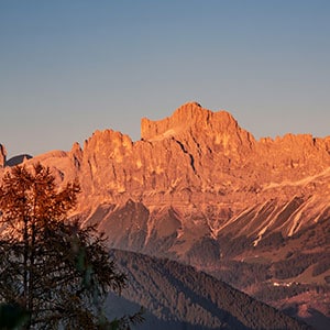 alpengluehen-rosengarten